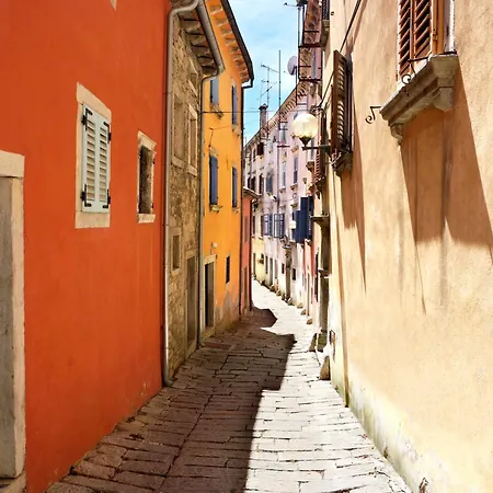 Lucille In Center Of Apartamento