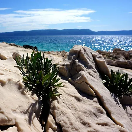 Apartment Lucille In Center Of Rabac