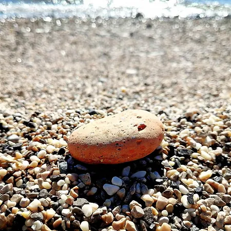 Apartamento Lucille In Center Of *