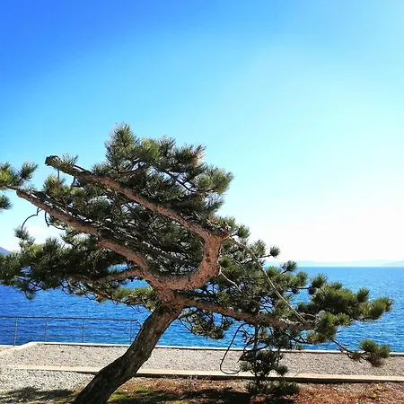 Lucille In Center Of Rabac