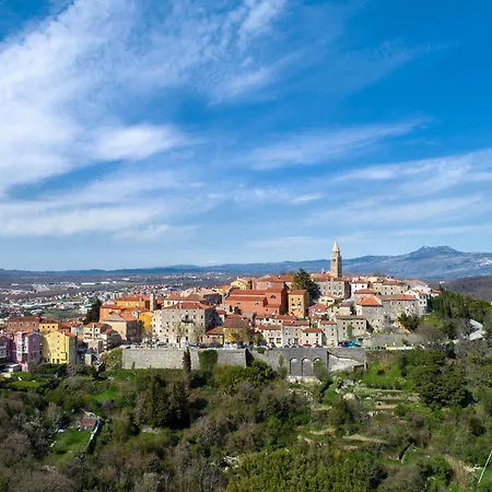 Lucille In Center Of Apartment
