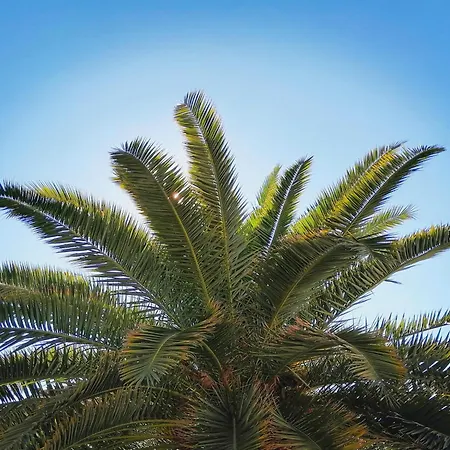 Apartamento Lucille In Center Of *