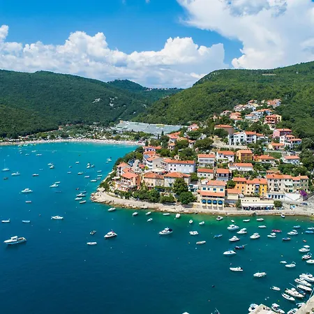 Lucille In Center Of Apartment *