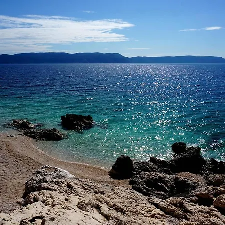 Lucille In Center Of Apartment *