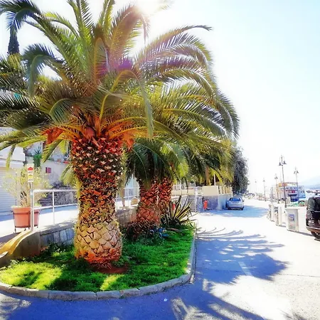 Lucille In Center Of Appartement