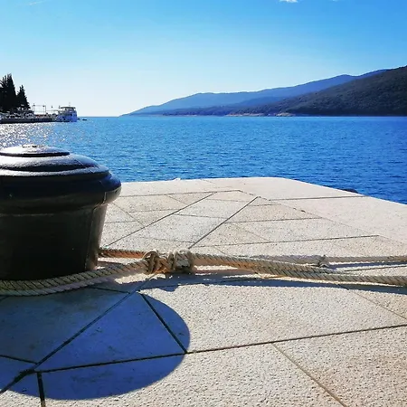 Lucille In Center Of Apartment