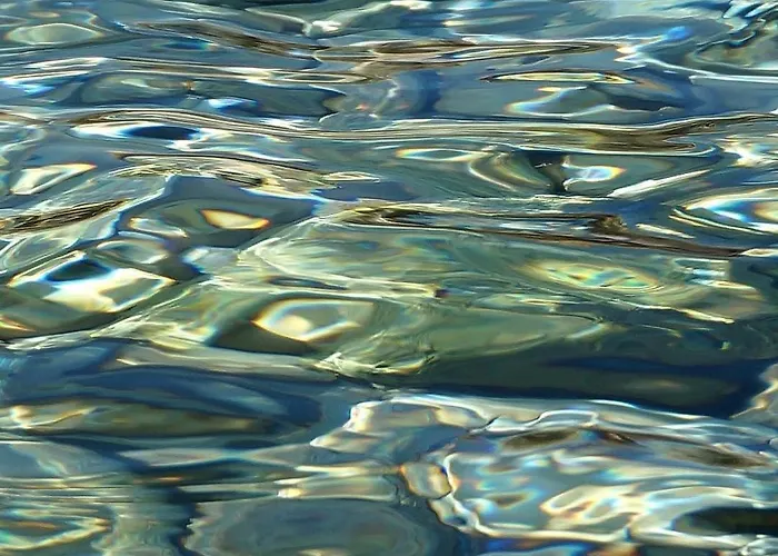 Lucille In Center Of Appartement