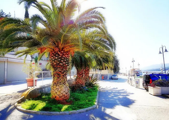 Lucille In Center Of Appartement