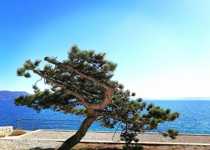 Lucille In Center Of Rabac