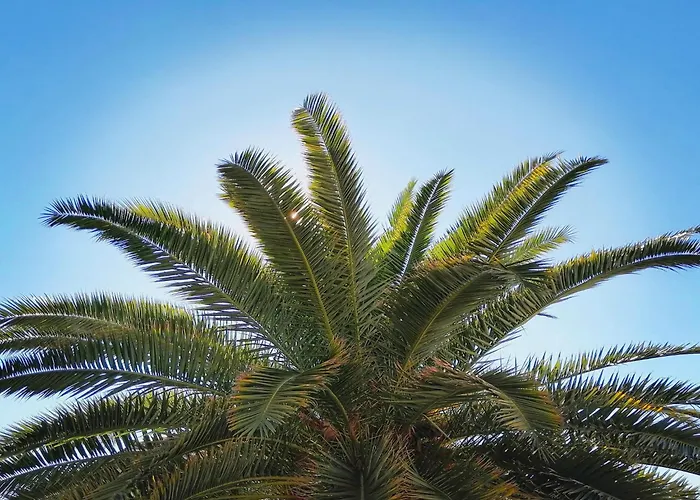 Appartement Lucille In Center Of *